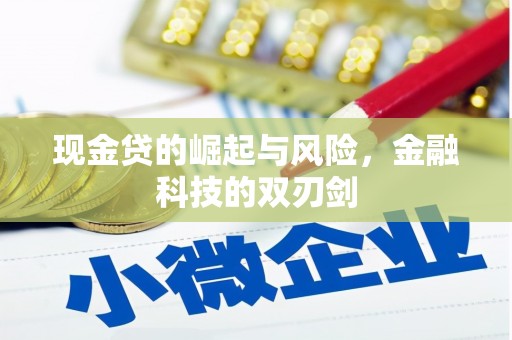 沈北新区现金贷的崛起与风险，金融科技的双刃剑