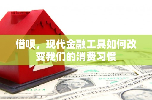 沈北新区借呗，现代金融工具如何改变我们的消费习惯