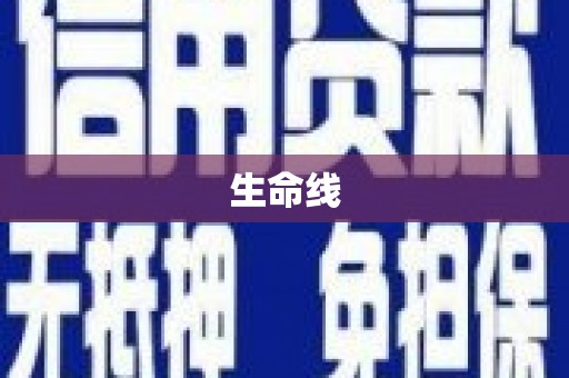 沈北新区生命线