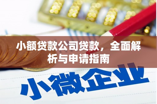 沈北新区小额贷款公司贷款，全面解析与申请指南