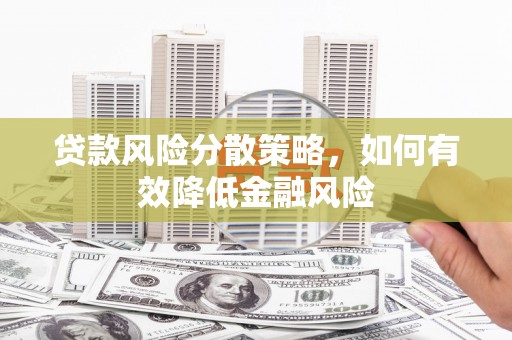 沈北新区贷款风险分散策略，如何有效降低金融风险