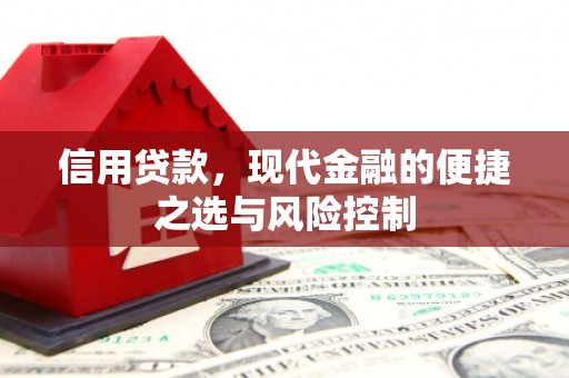 沈北新区信用贷款，现代金融的便捷之选与风险控制
