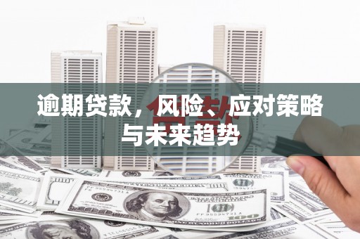 沈北新区逾期贷款，风险、应对策略与未来趋势