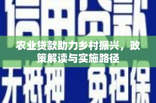 沈北新区农业贷款助力乡村振兴，政策解读与实施路径