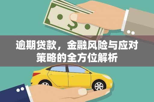 沈北新区逾期贷款，金融风险与应对策略的全方位解析