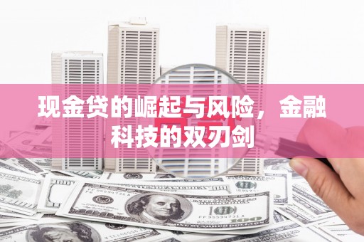 沈北新区现金贷的崛起与风险，金融科技的双刃剑