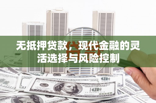沈北新区无抵押贷款，现代金融的灵活选择与风险控制