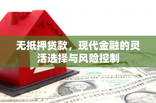 沈北新区无抵押贷款，现代金融的灵活选择与风险控制