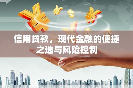 沈北新区信用贷款，现代金融的便捷之选与风险控制