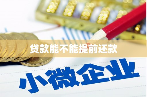 沈北新区贷款能不能提前还款
