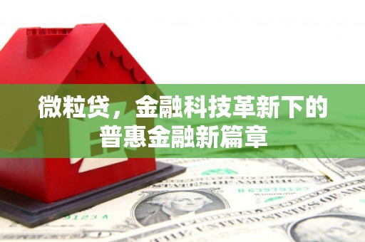 沈北新区微粒贷，金融科技革新下的普惠金融新篇章