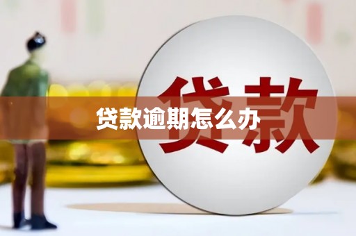沈北新区贷款逾期怎么办
