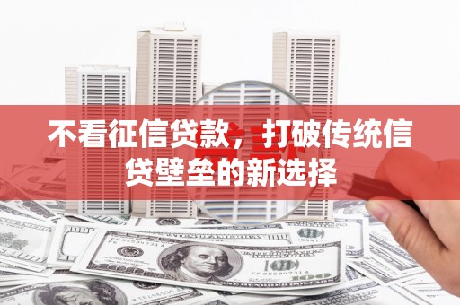 沈北新区不看征信贷款，打破传统信贷壁垒的新选择