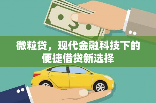 沈北新区微粒贷，现代金融科技下的便捷借贷新选择