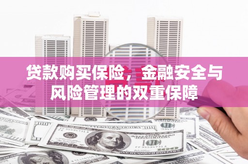 沈北新区贷款购买保险，金融安全与风险管理的双重保障