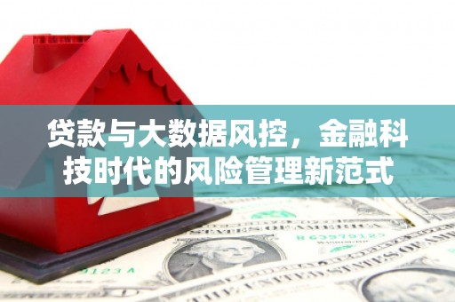 沈北新区贷款与大数据风控，金融科技时代的风险管理新范式