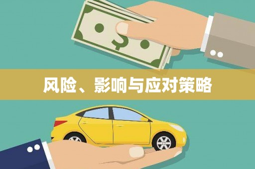 沈北新区风险、影响与应对策略