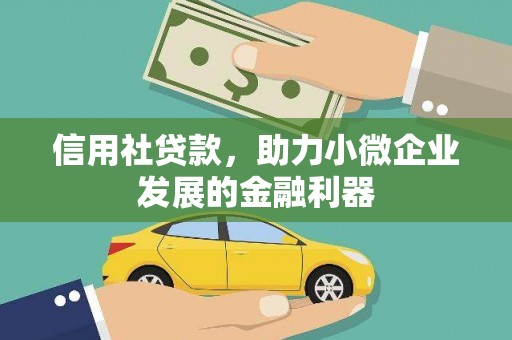 沈北新区信用社贷款，助力小微企业发展的金融利器
