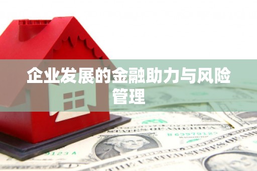 沈北新区企业发展的金融助力与风险管理