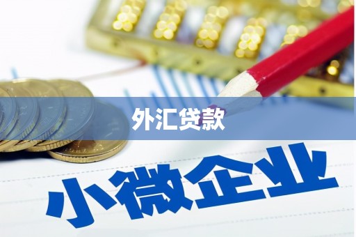沈北新区外汇贷款