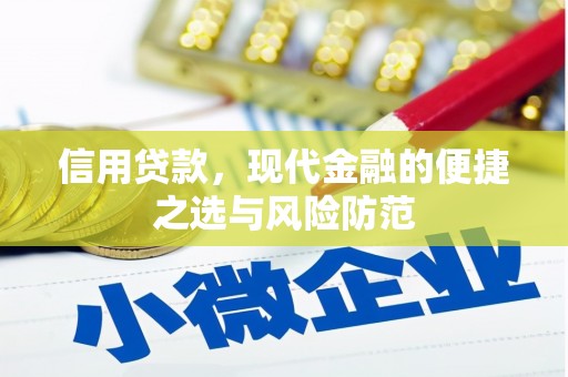沈北新区信用贷款，现代金融的便捷之选与风险防范