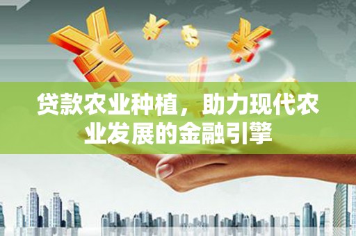 沈北新区贷款农业种植，助力现代农业发展的金融引擎