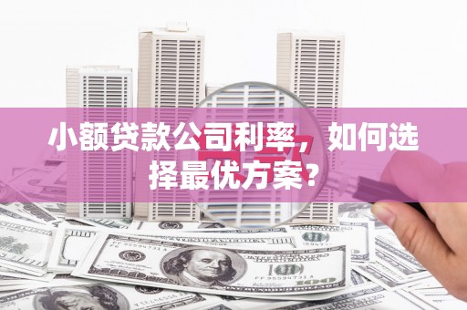 沈北新区小额贷款公司利率，如何选择最优方案？