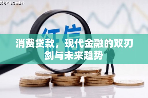 沈北新区消费贷款，现代金融的双刃剑与未来趋势