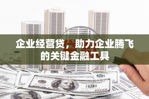 沈北新区企业经营贷，助力企业腾飞的关键金融工具