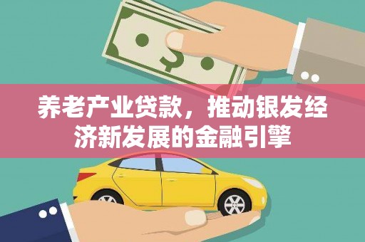 沈北新区养老产业贷款，推动银发经济新发展的金融引擎