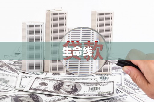 沈北新区生命线