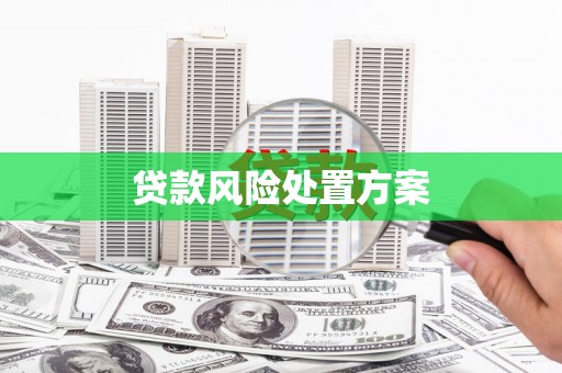沈北新区贷款风险处置方案