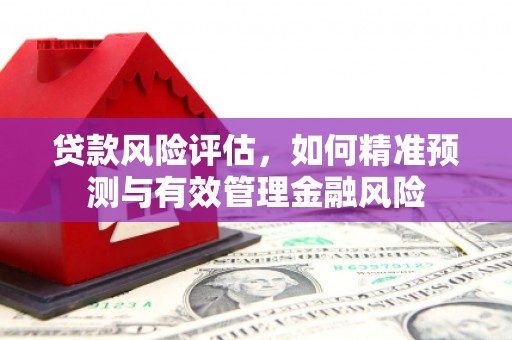沈北新区贷款风险评估，如何精准预测与有效管理金融风险