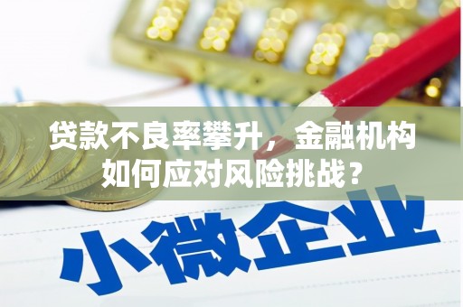 沈北新区贷款不良率攀升，金融机构如何应对风险挑战？