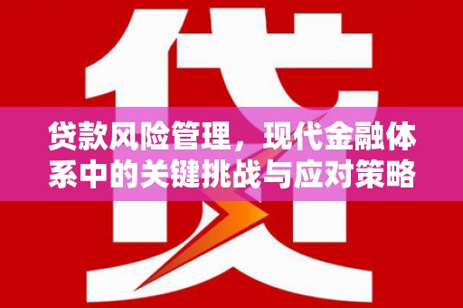 沈北新区贷款风险管理，现代金融体系中的关键挑战与应对策略