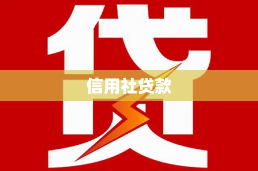 沈北新区信用社贷款