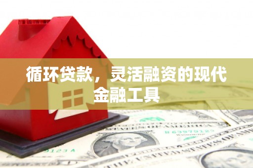 沈北新区循环贷款，灵活融资的现代金融工具