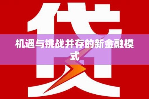 沈北新区机遇与挑战并存的新金融模式
