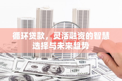 沈北新区循环贷款，灵活融资的智慧选择与未来趋势