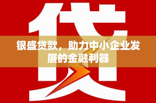 沈北新区银盛贷款，助力中小企业发展的金融利器