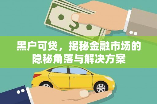 沈北新区黑户可贷，揭秘金融市场的隐秘角落与解决方案