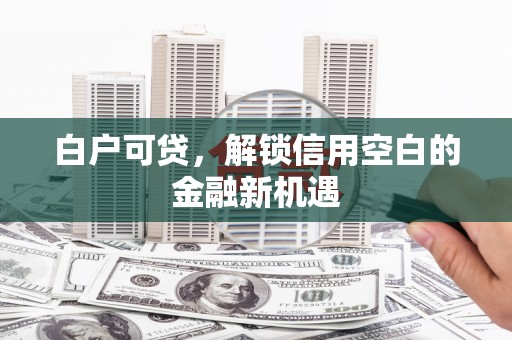 沈北新区白户可贷，解锁信用空白的金融新机遇