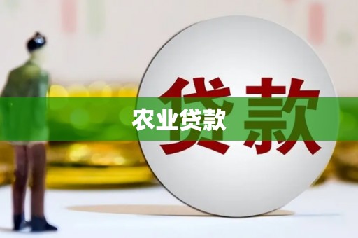 沈北新区农业贷款