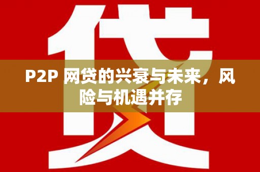 沈北新区P2P 网贷的兴衰与未来，风险与机遇并存