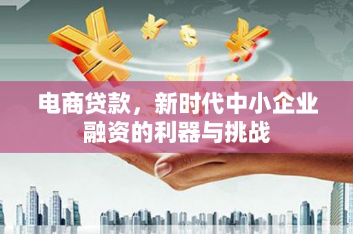 沈北新区电商贷款，新时代中小企业融资的利器与挑战