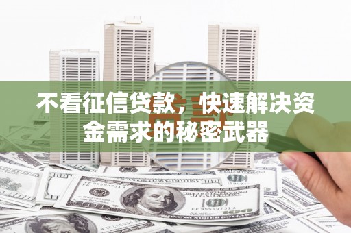 沈北新区不看征信贷款，快速解决资金需求的秘密武器