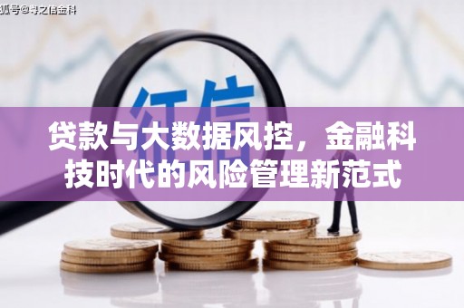 沈北新区贷款与大数据风控，金融科技时代的风险管理新范式
