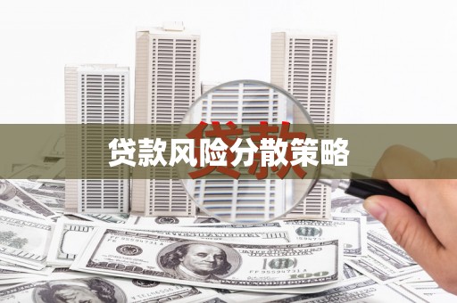 沈北新区贷款风险分散策略