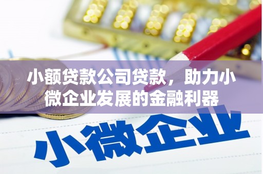沈北新区小额贷款公司贷款，助力小微企业发展的金融利器