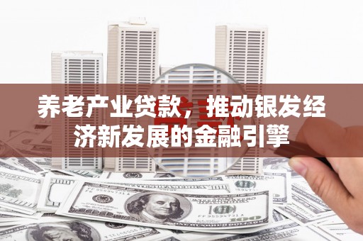沈北新区养老产业贷款，推动银发经济新发展的金融引擎